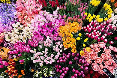 《人类一败涂地》宣布登陆国行Switch 定价78元