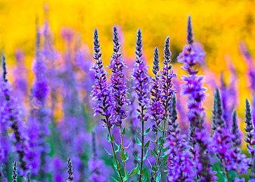 《漫威蜘蛛侠2》IGN给出8分：开放世界不够出色